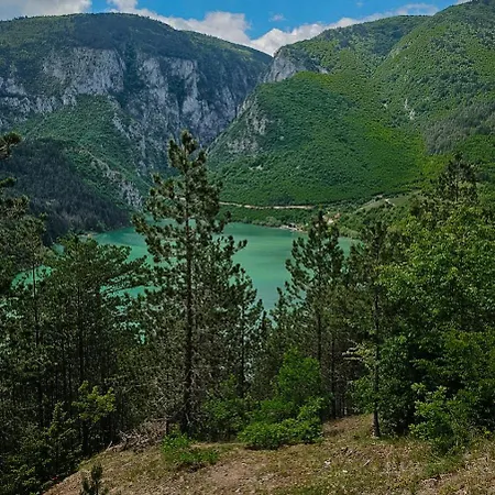 Kamp Simovic - Stari Brod Alpehytte